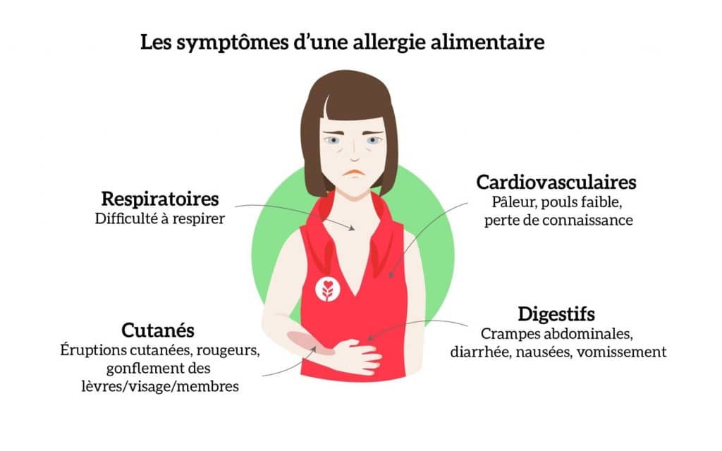 Décryptage des Allergies Alimentaires : Manifestations, Causes et ...
